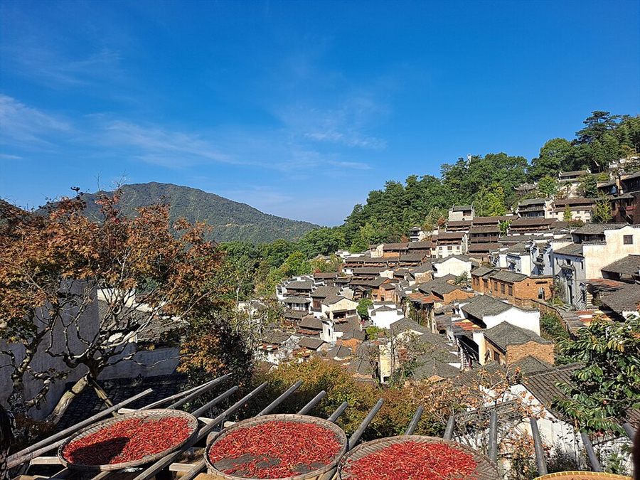 篁岭晒秋